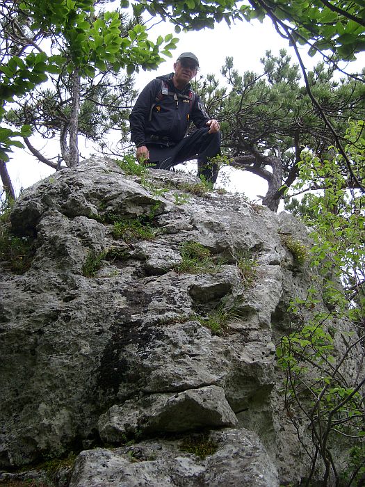 gutensteiner
